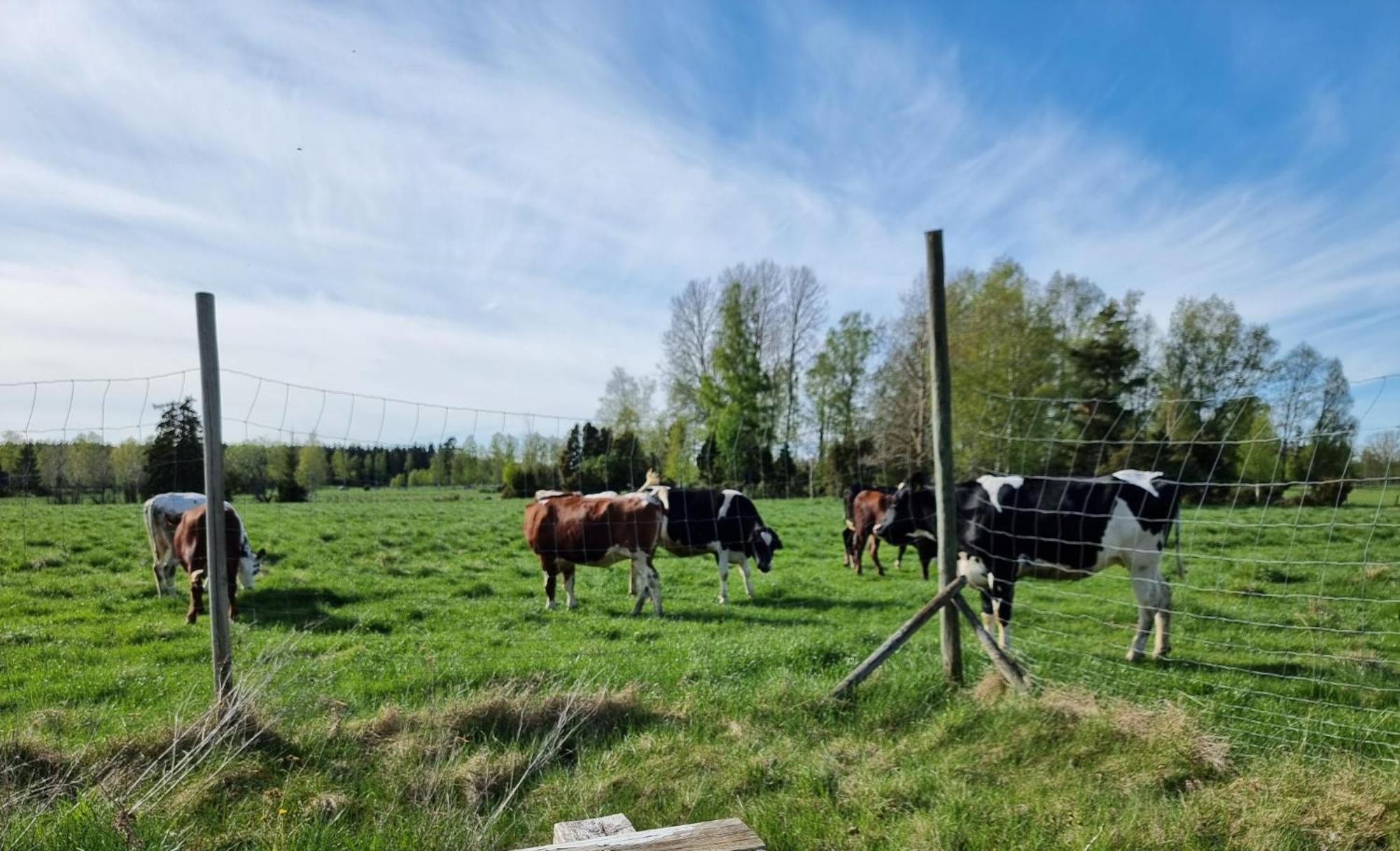 Kaggestorps Gard Villa Hjo Buitenkant foto