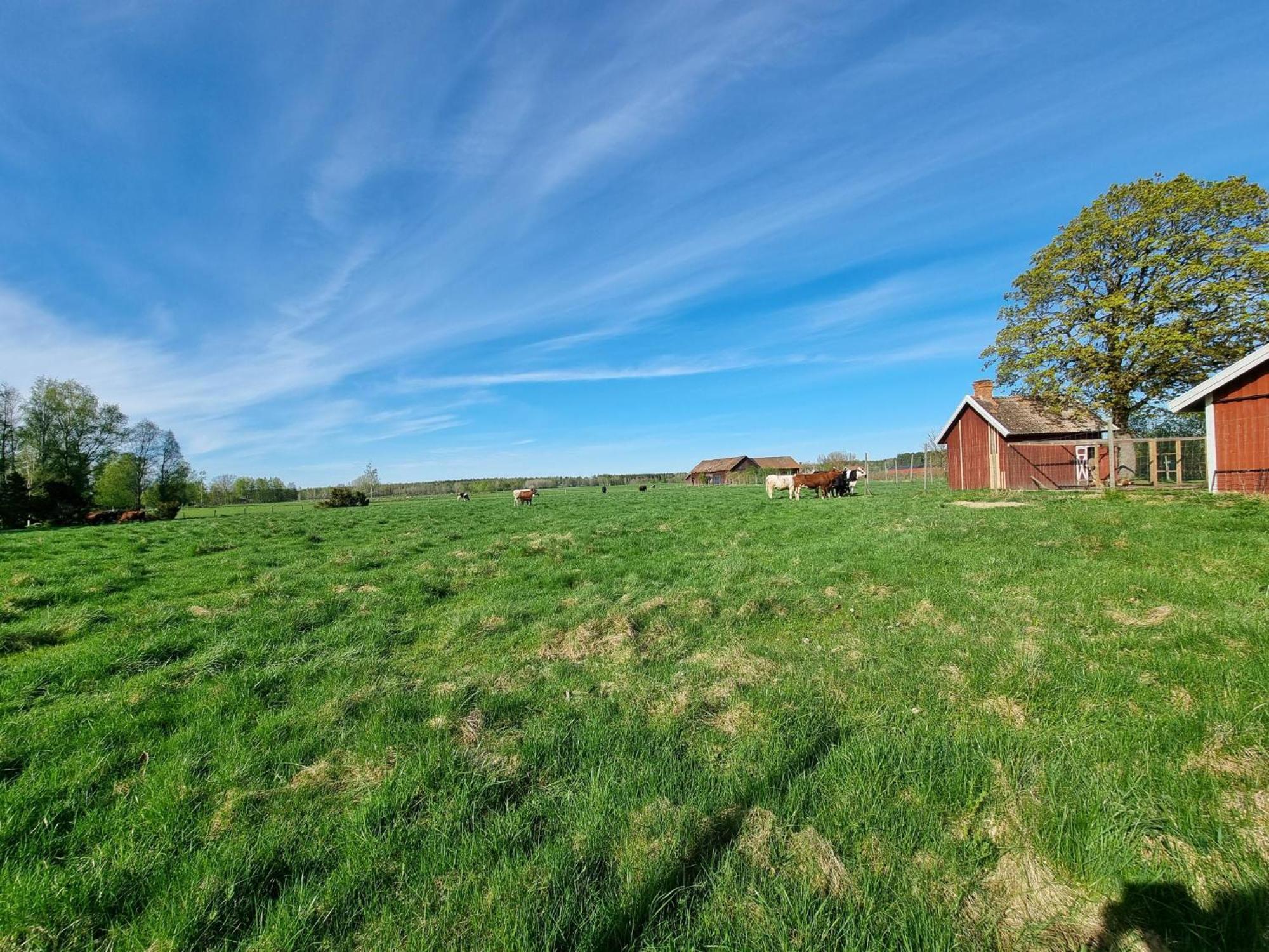 Kaggestorps Gard Villa Hjo Buitenkant foto